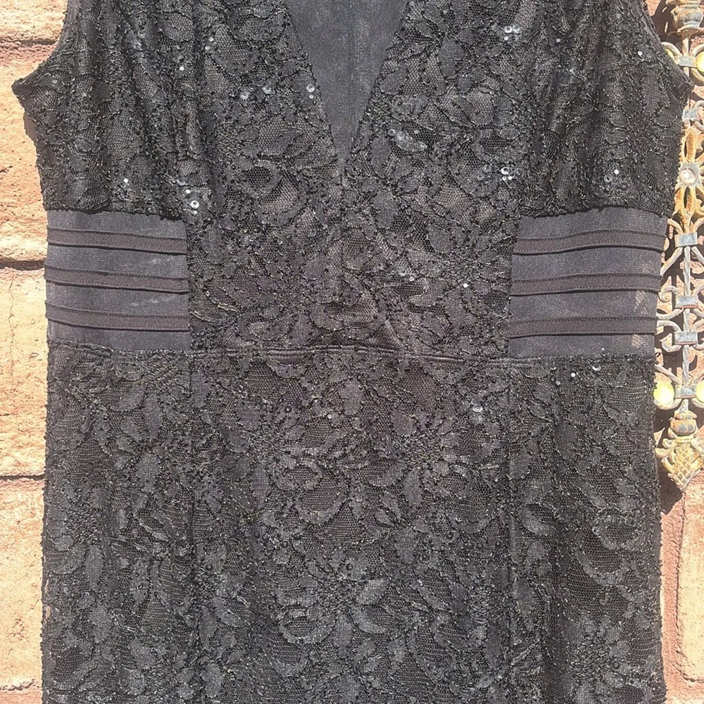 Alexa B Lace Mesh Maxi Dress Sequins V-neck Witchy Whimsigoth Goth Fairy Sz 14 - Picture 3 of 11